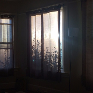 不断扒开敖闰衣物对她❌❌
