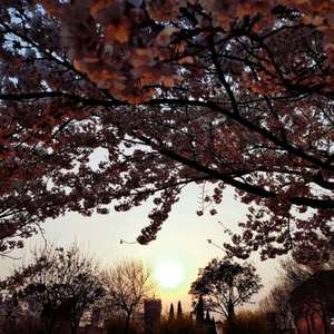 不断扒开敖闰衣物对她❌❌
