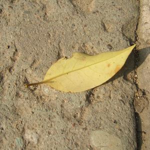 不断扒开敖闰衣物对她❌❌
