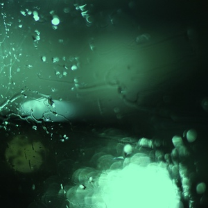 不断扒开敖闰衣物对她❌❌
